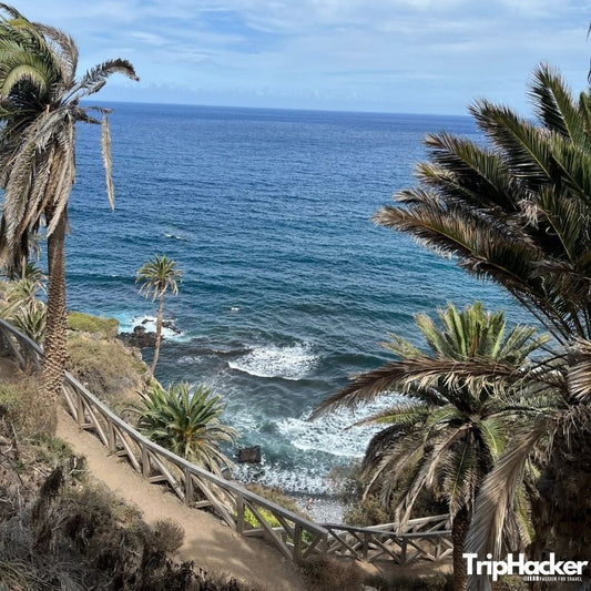 Крайбрежна пътека с палми и гледка към Атлантическия океан в Тенерифе, Канарски острови, Испания - островна почивка и консултации за пътувания